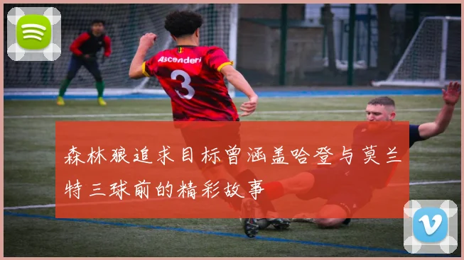 森林狼追求目标曾涵盖哈登与莫兰特三球前的精彩故事