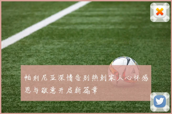 帕利尼亚深情告别热刺家人心怀感恩与敬意开启新篇章